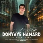 علیرضا زارع – دنیای نامرد